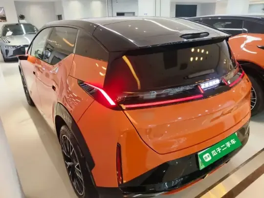 Zeekr X 2024 (13600 км)