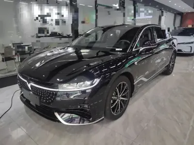 VOYAH PASSION 2024 (24000 км)
