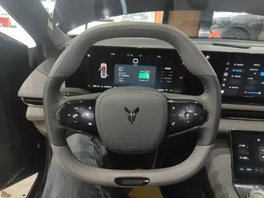 VOYAH PASSION 2024 (24000 км)