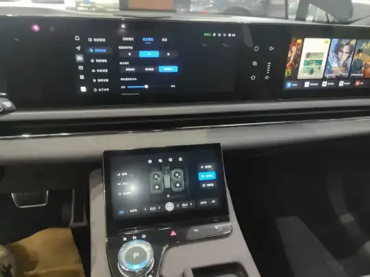 VOYAH PASSION 2024 (24000 км)