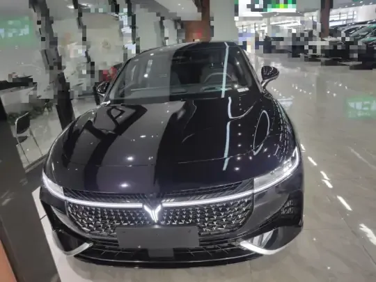 VOYAH PASSION 2024 (24000 км)