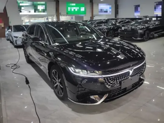 VOYAH PASSION 2024 (24000 км)