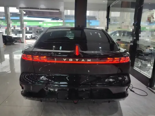 VOYAH PASSION 2024 (24000 км)