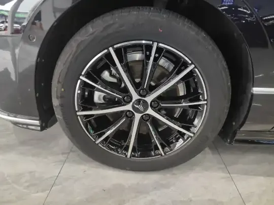 VOYAH PASSION 2024 (24000 км)