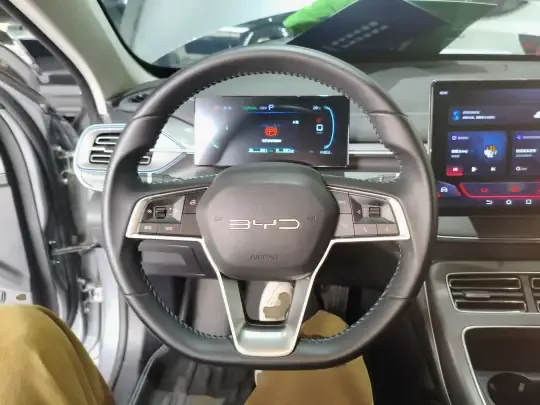 BYD Destroyer 05 2024 (14300 км)