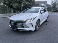 BYD Destroyer 05 2024 (29300 км)