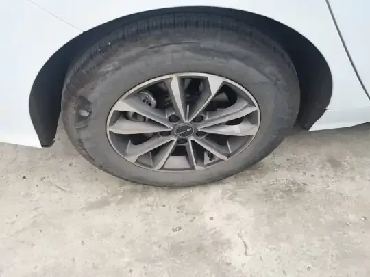 BYD Destroyer 05 2024 (29300 км)
