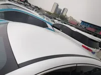 BYD Destroyer 05 2024 (29300 км)