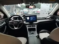 BYD Destroyer 05 2024 (29300 км)
