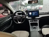 BYD Destroyer 05 2024 (29300 км)