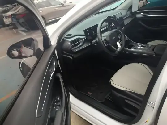 BYD Destroyer 05 2024 (29300 км)