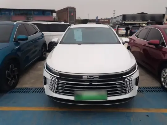 BYD Destroyer 05 2024 (29300 км)
