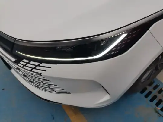 BYD Destroyer 05 2024 (29300 км)
