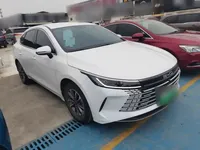 BYD Destroyer 05 2024 (29300 км)