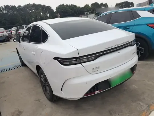 BYD Destroyer 05 2024 (29300 км)