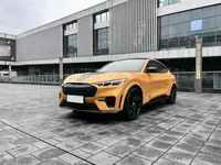 Ford Mustang Mach-E 2024 (10200 км)