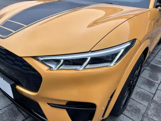Ford Mustang Mach-E 2024 (10200 км)