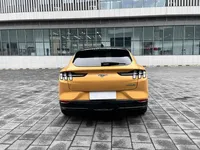 Ford Mustang Mach-E 2024 (10200 км)