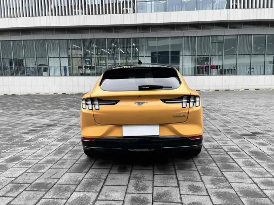 Ford Mustang Mach-E 2024 (10200 км)