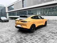 Ford Mustang Mach-E 2024 (10200 км)