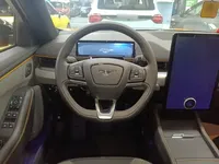 Ford Mustang Mach-E 2024 (10200 км)