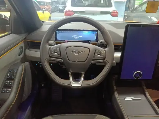 Ford Mustang Mach-E 2024 (10200 км)