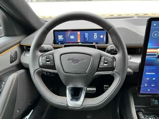 Ford Mustang Mach-E 2024 (10200 км)