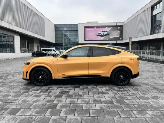 Ford Mustang Mach-E 2024 (10200 км)