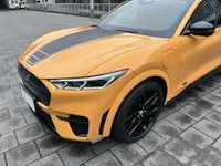 Ford Mustang Mach-E 2024 (10200 км)