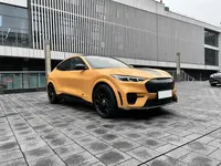 Ford Mustang Mach-E 2024 (10200 км)