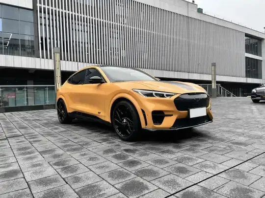 Ford Mustang Mach-E 2024 (10200 км)