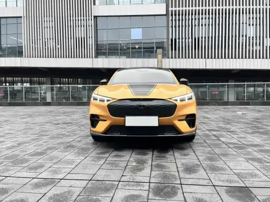 Ford Mustang Mach-E 2024 (10200 км)