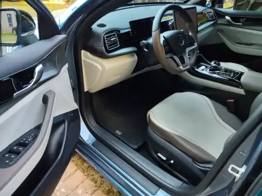 BYD Qin PLUS 2024 (49000 км)