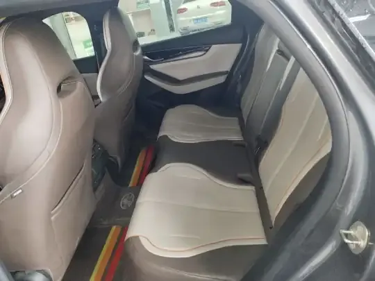 BYD Qin PLUS 2024 (46500 км)