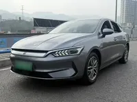 BYD Qin PLUS 2024 (20800 км)