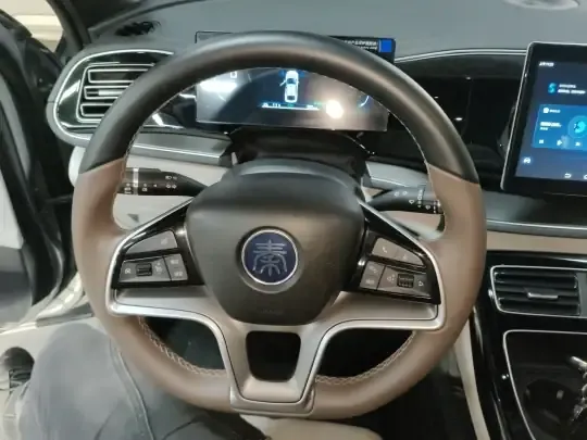 BYD Qin PLUS 2024 (20800 км)