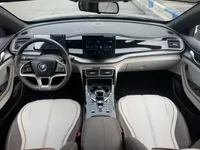 BYD Qin PLUS 2024 (20800 км)