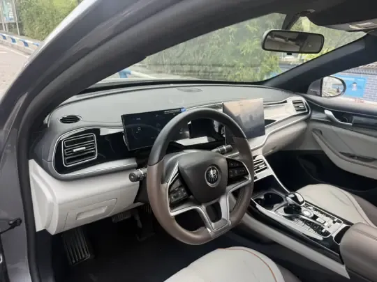 BYD Qin PLUS 2024 (20800 км)