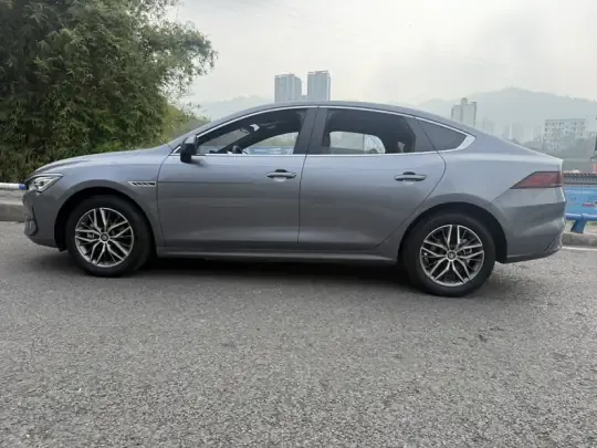 BYD Qin PLUS 2024 (20800 км)