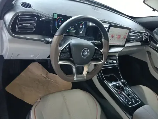 BYD Qin PLUS 2024 (62300 км)