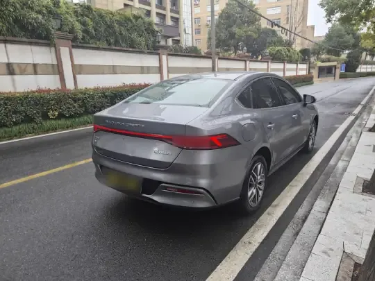 BYD Qin PLUS 2024 (18000 км)