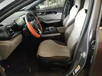 BYD Qin PLUS 2024 (18000 км)