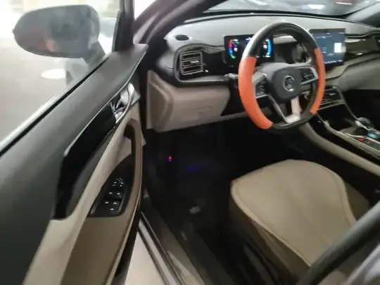 BYD Qin PLUS 2024 (18000 км)