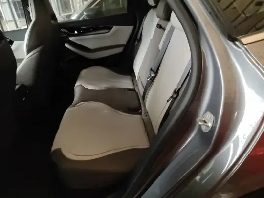 BYD Qin PLUS 2024 (18000 км)