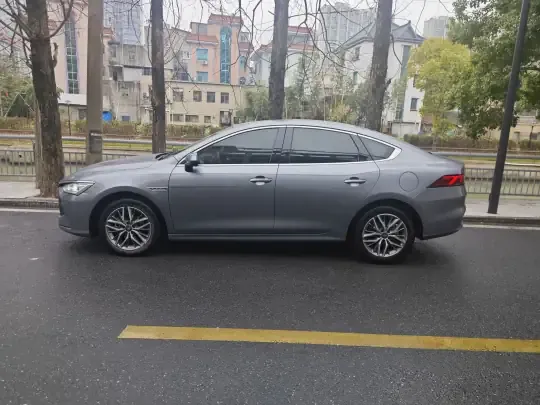 BYD Qin PLUS 2024 (18000 км)