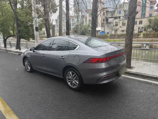 BYD Qin PLUS 2024 (18000 км)