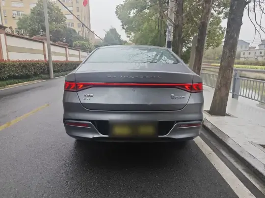 BYD Qin PLUS 2024 (18000 км)
