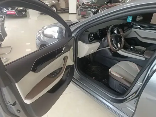 BYD Qin PLUS 2024 (39200 км)