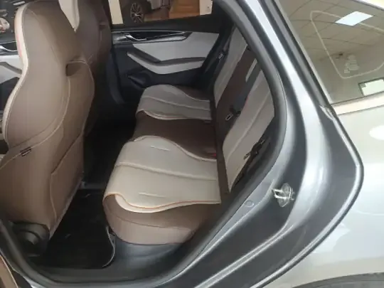 BYD Qin PLUS 2024 (39200 км)