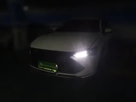 BYD Qin PLUS 2024 (25099 км)